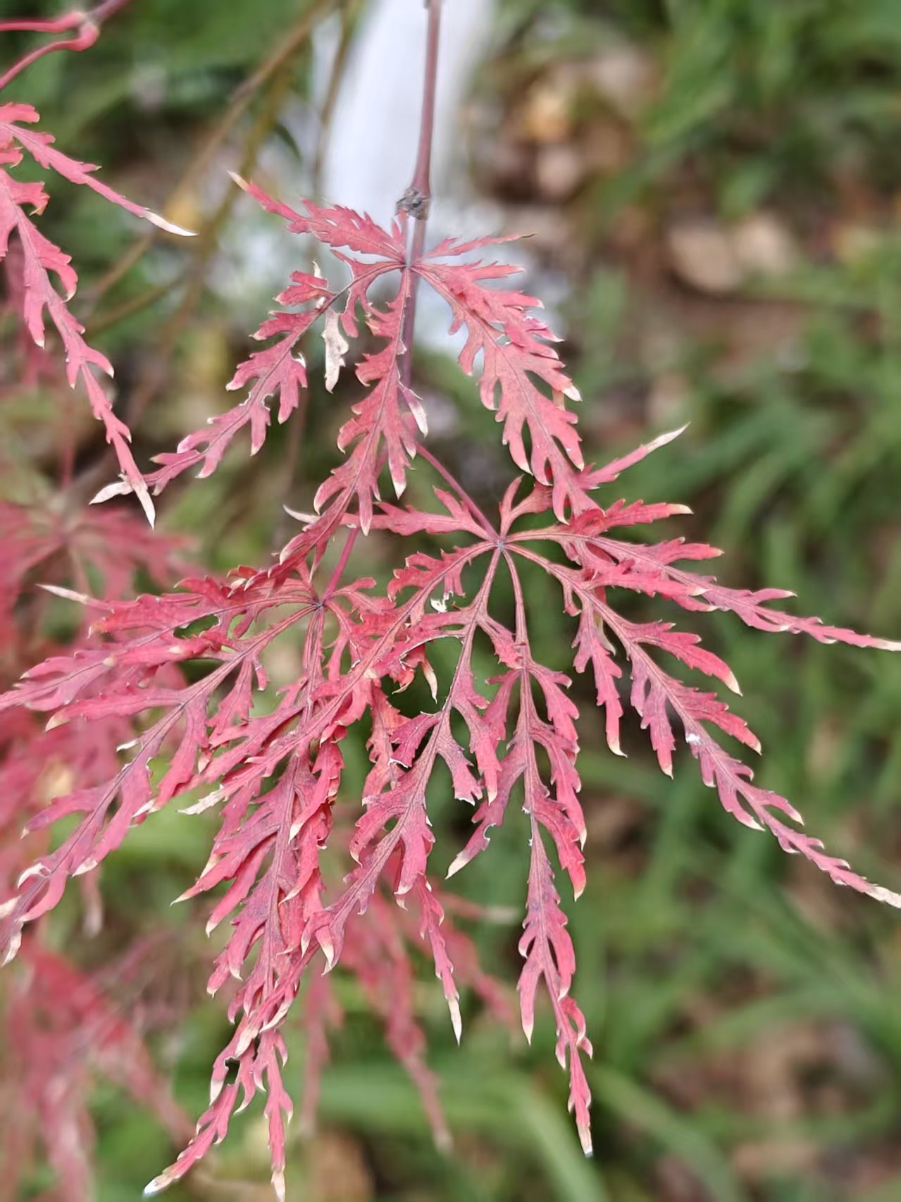 300062e6f1f98e4d143f2f3335031eb5.jpg|420