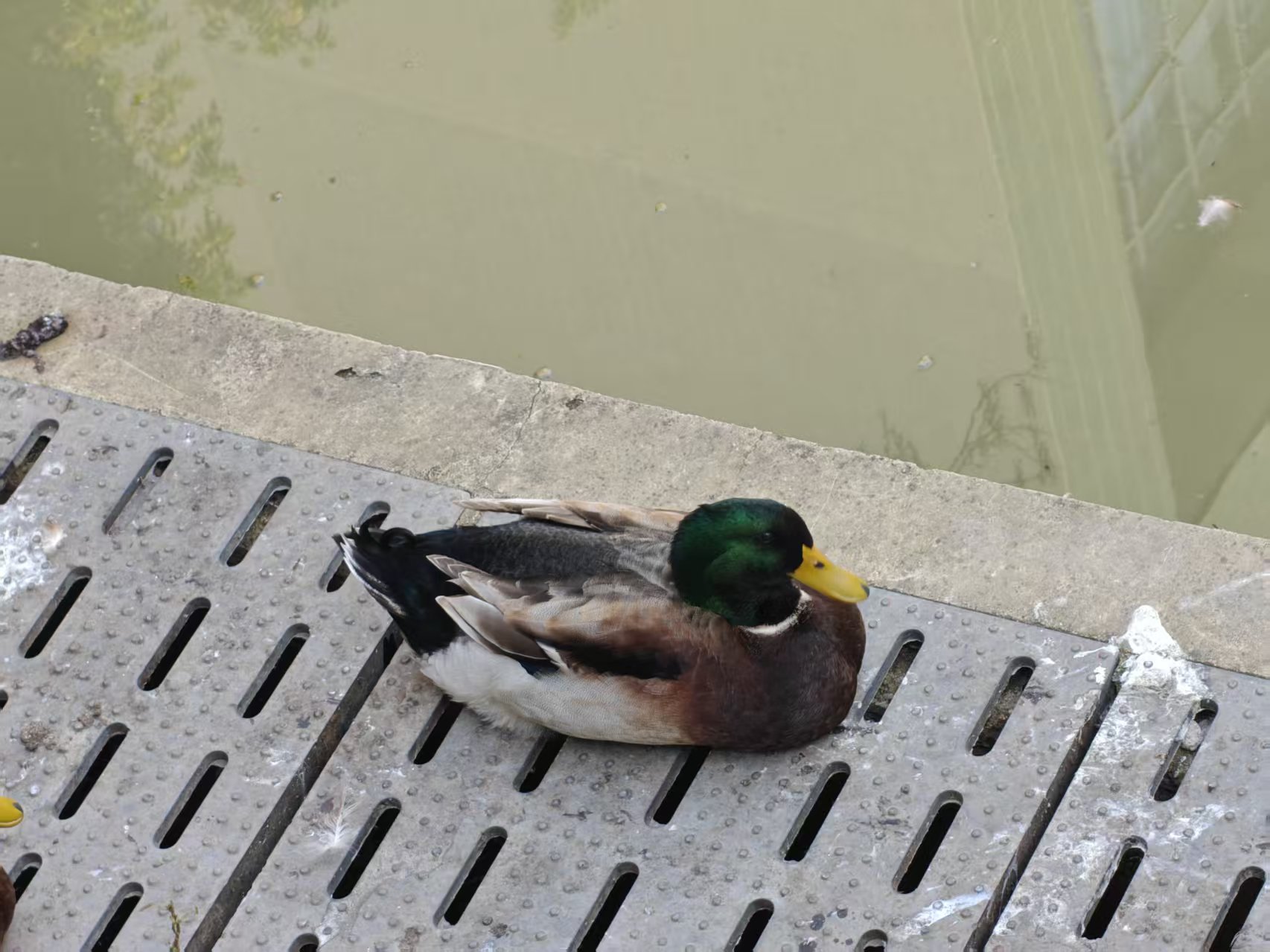 0faa6d4c7befe503250b47bdb996bd3d.jpg|420