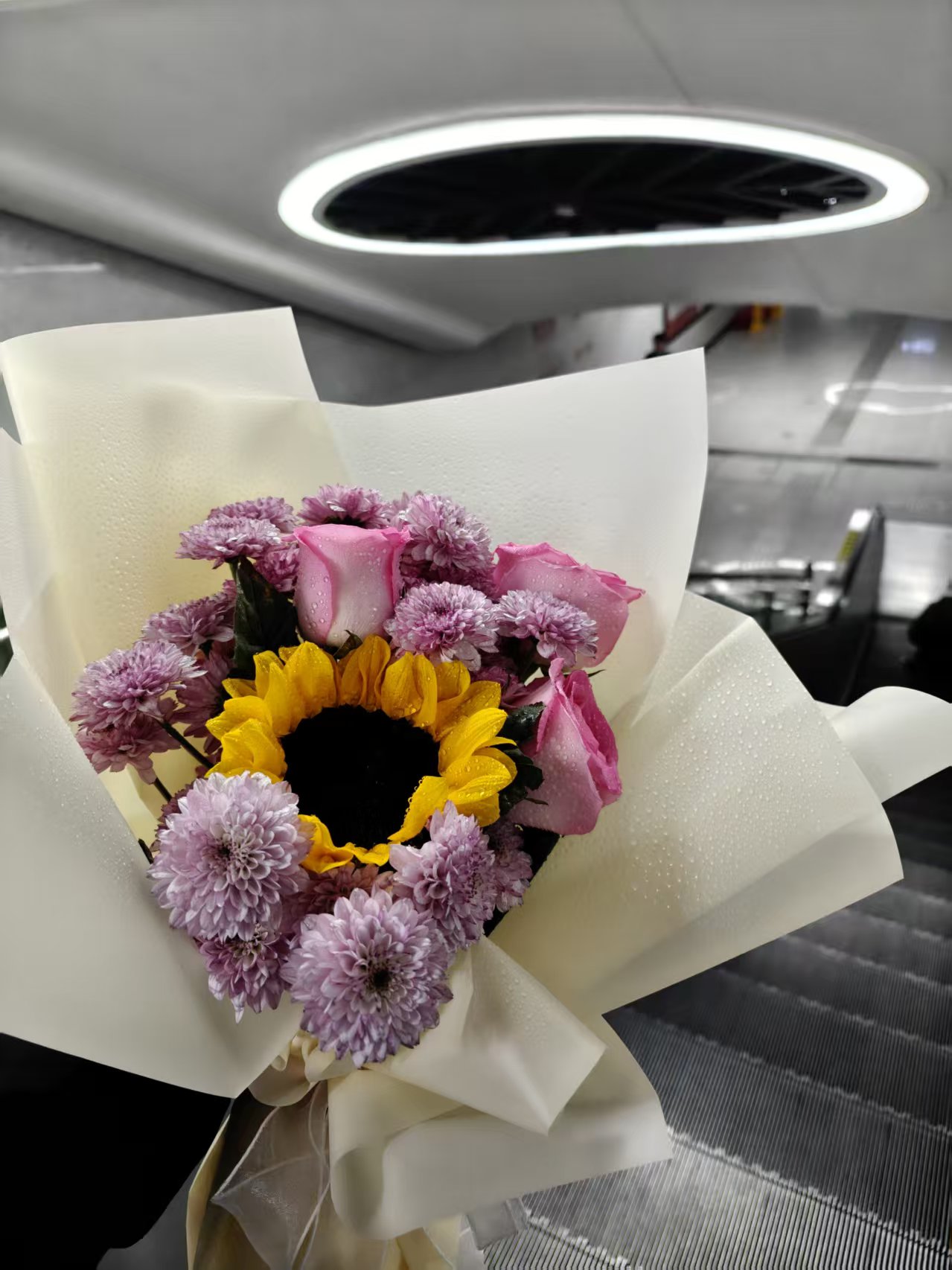 25c722288a0757d8aff6cc8e9590cb24.jpgimg|420