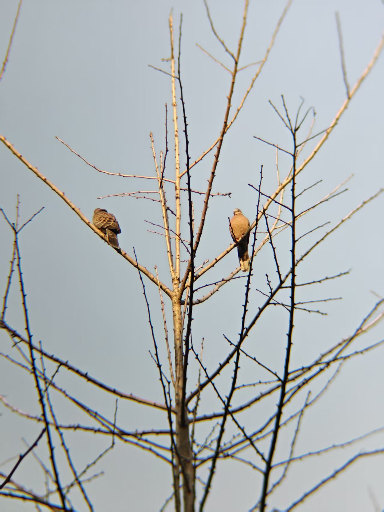 b7b65bad6ad7eff2325f9c91bd0e14d5.jpgimg|420