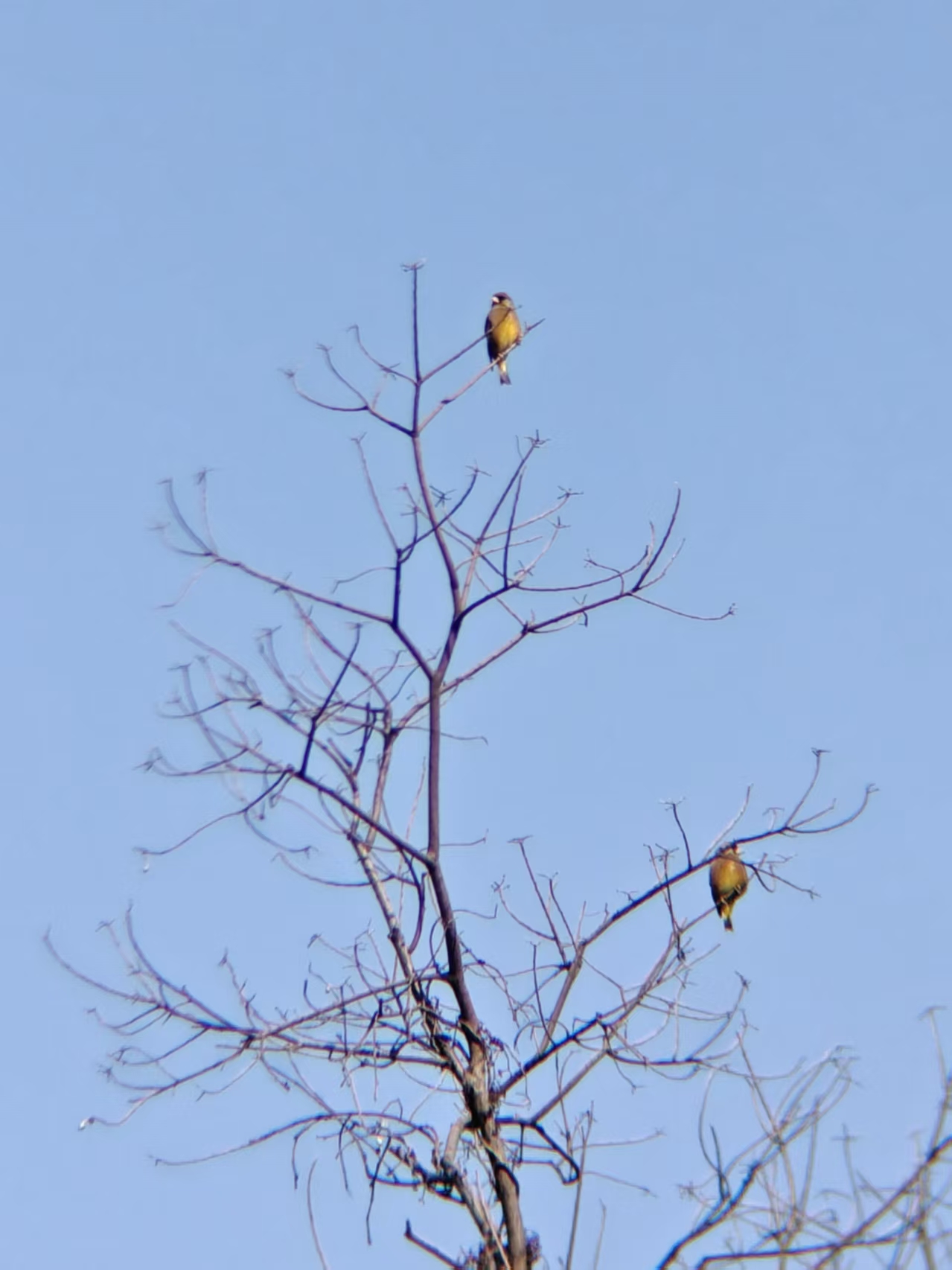 122288f4616a1933523b7c8ad6ffaa29.jpg|420