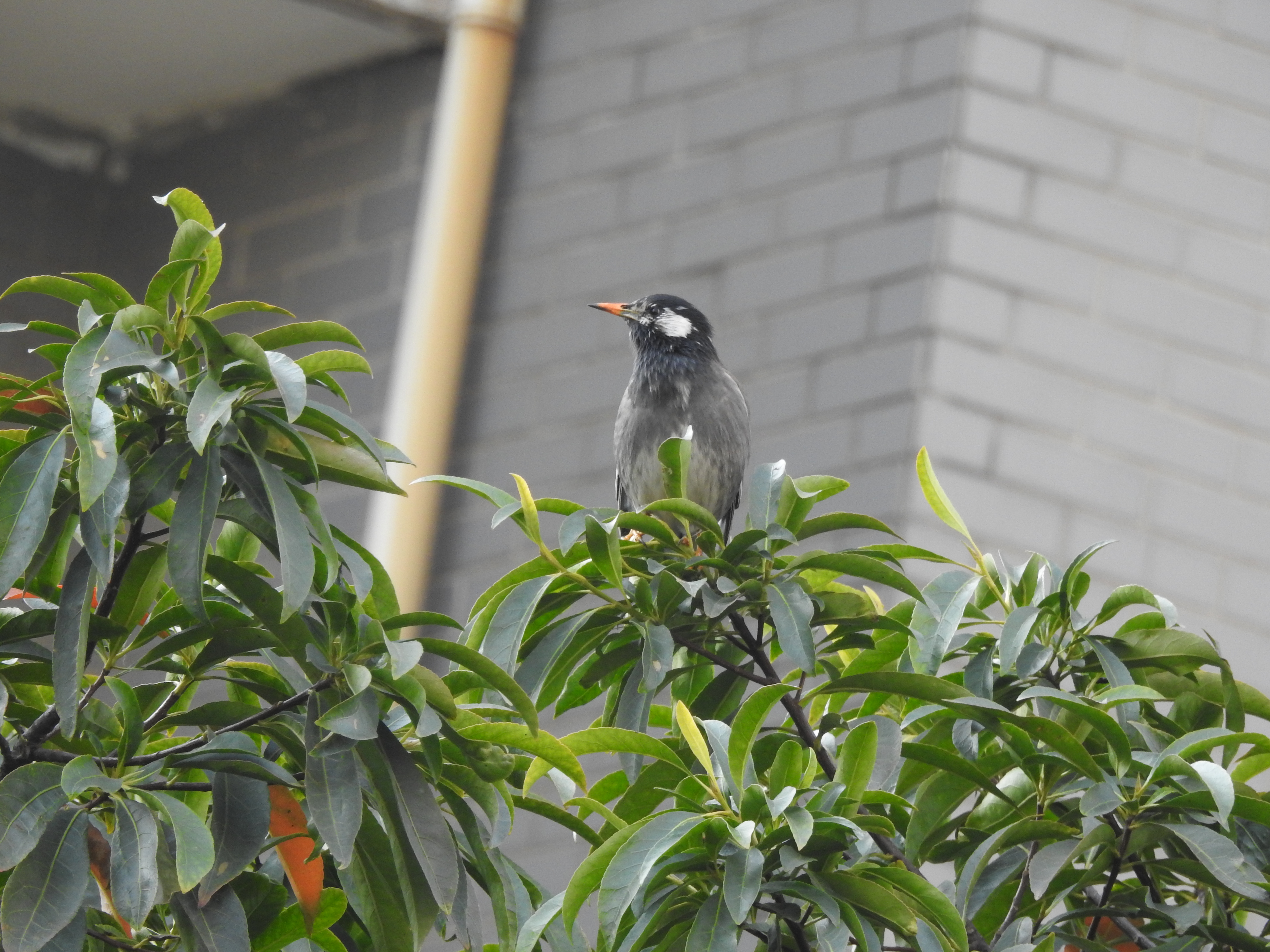 937deb3d0bdd16106e4cd9a1fbcdf74f.jpg|320