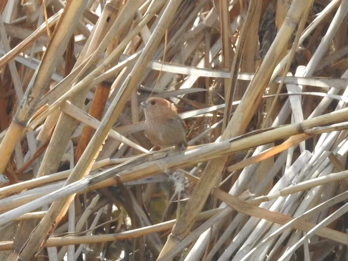 b1a4314352a0c488993b7dd99c3c3fbb.jpg|320