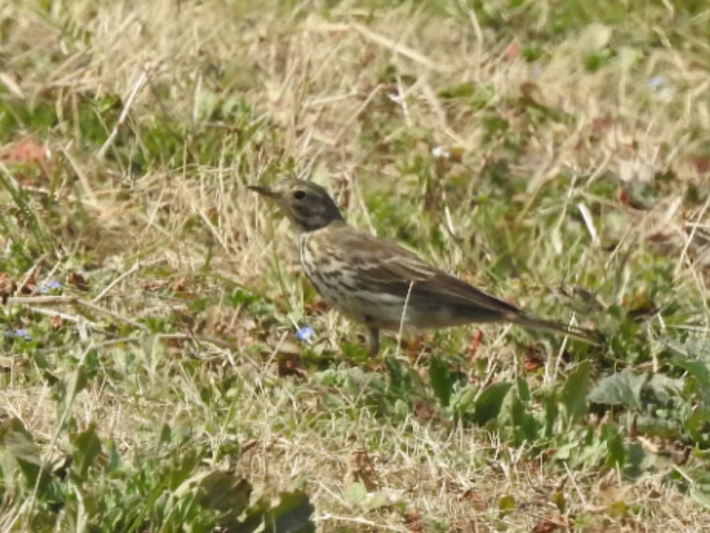 0e2d7be2f63ba7fa095ad235a6871720.jpg|320