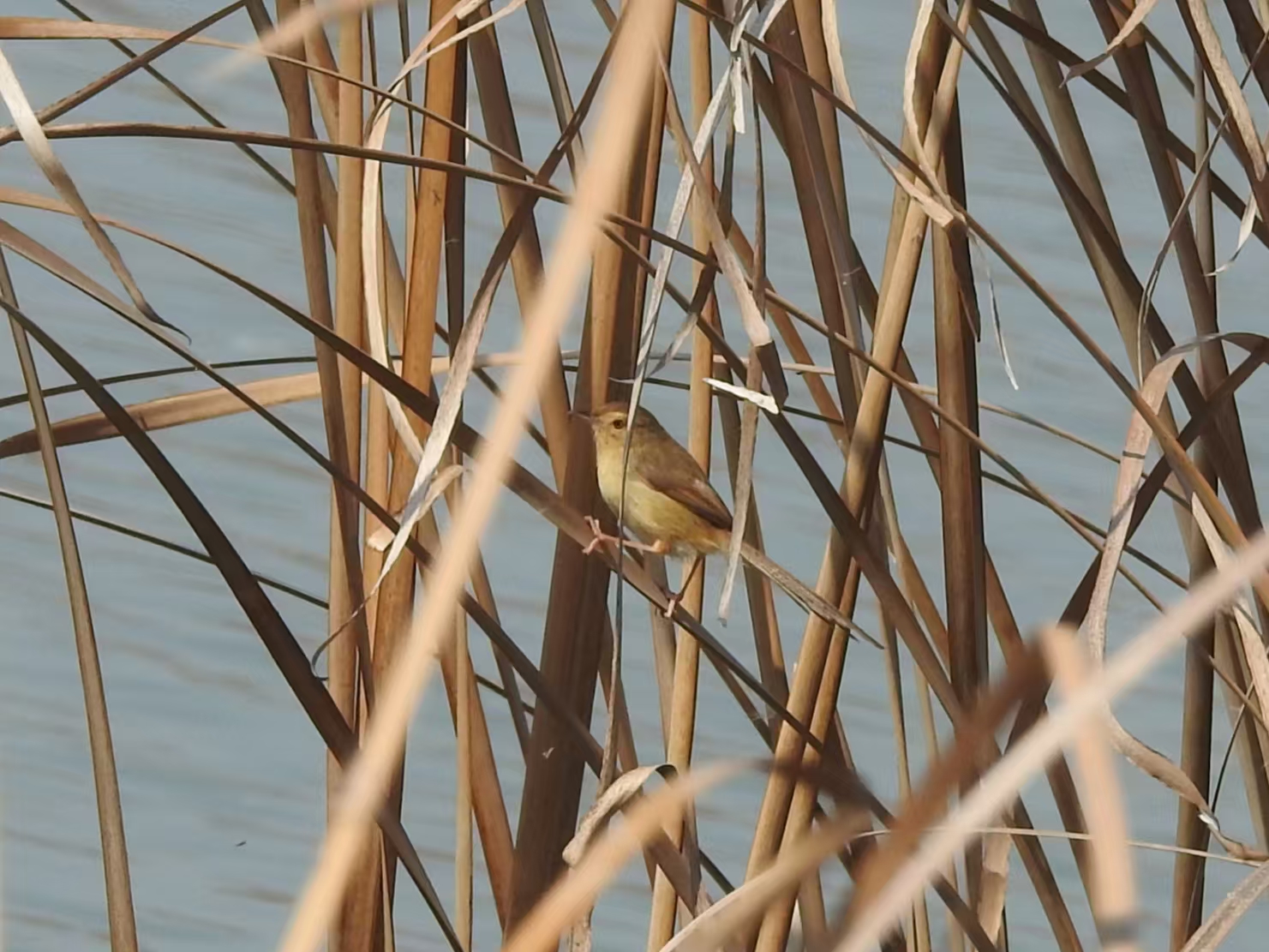 f2b3ca1c58d0dc80f357da73db52a6a4.jpg|320