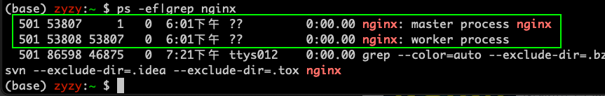 nginx进程