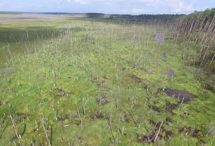 graphic file with name pnas.2314607120fig01.jpg