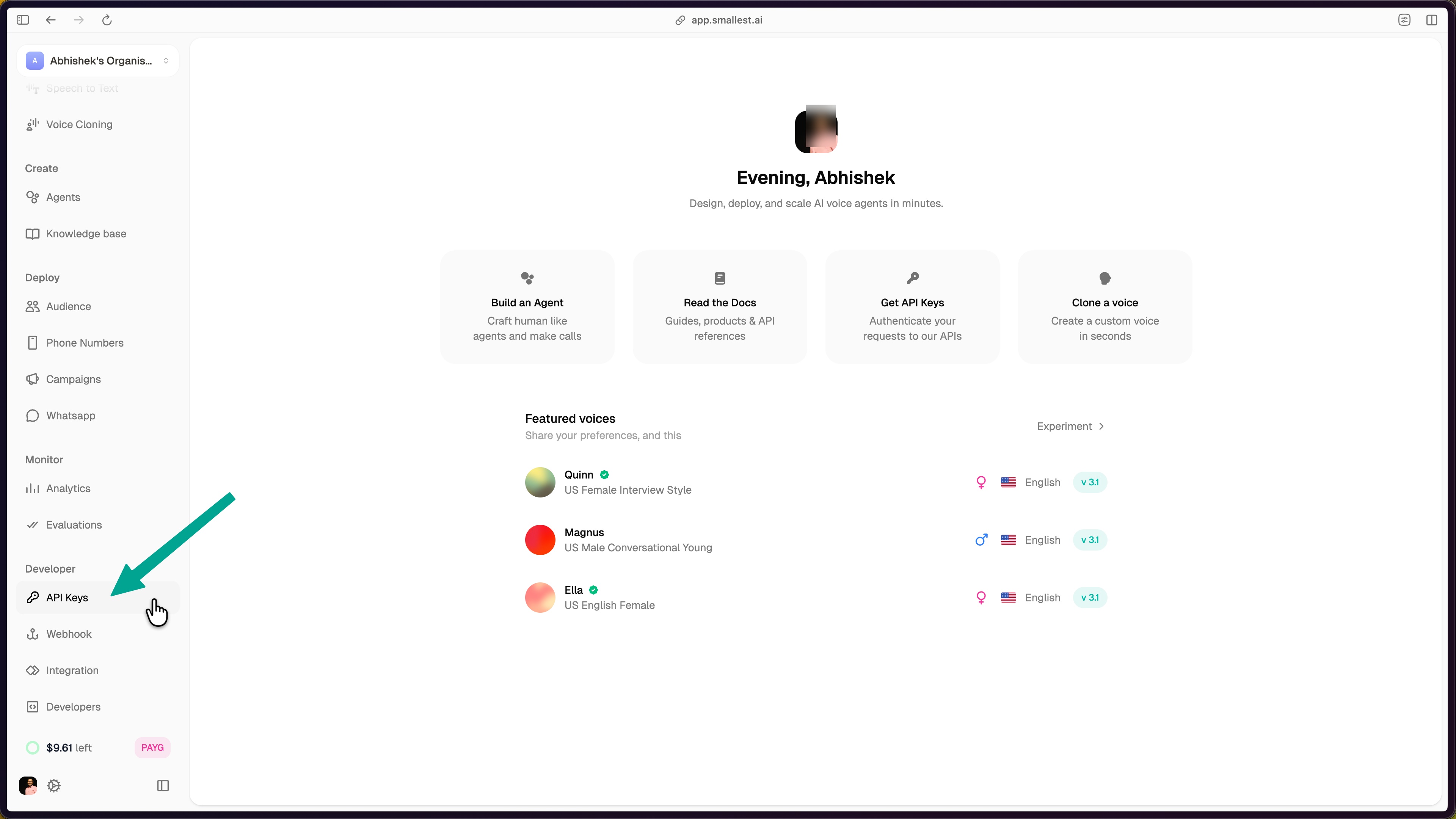 smallest ai dashboard with api keys highlighted under developer section in the left sidebar
