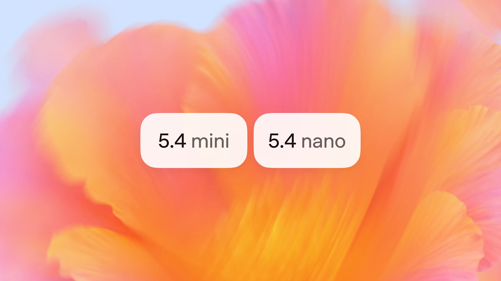 Main Featured Image / OpenGraph Image