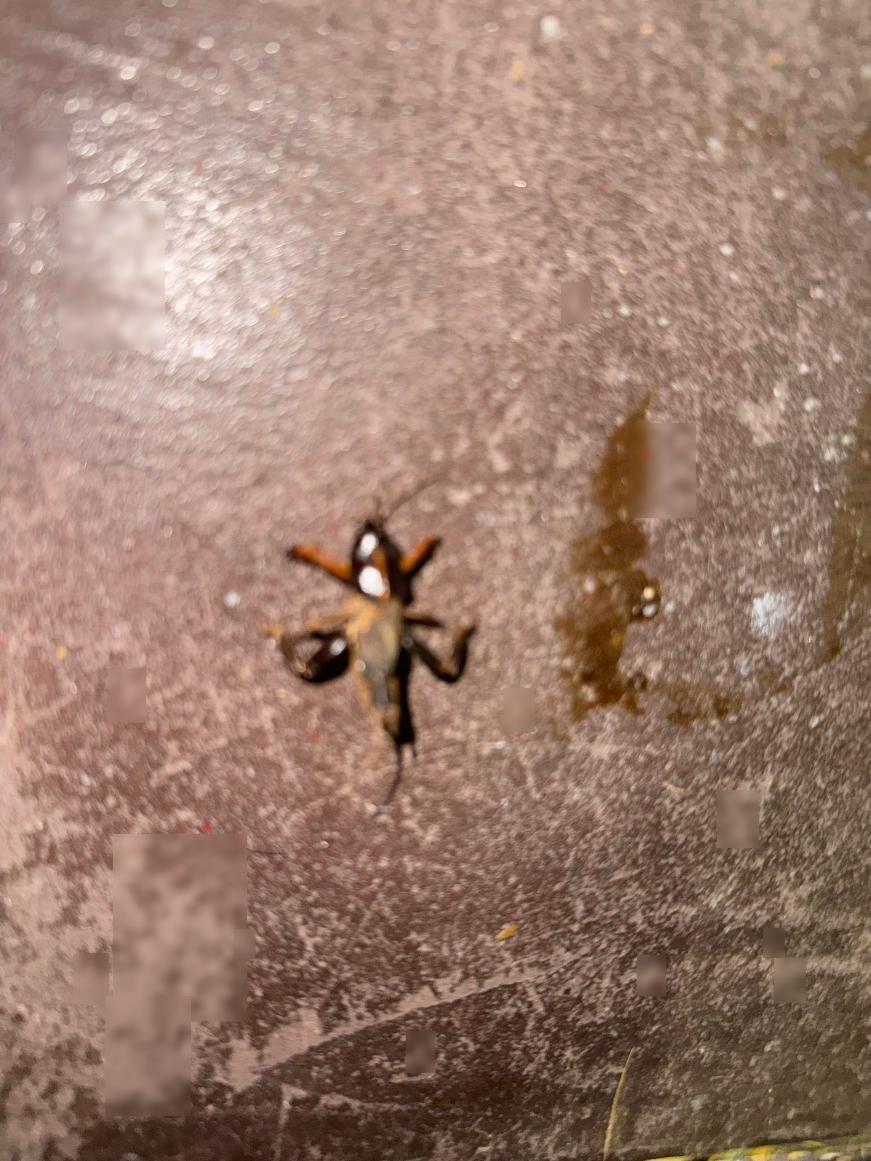 Community evidence for: What the f*ck is this