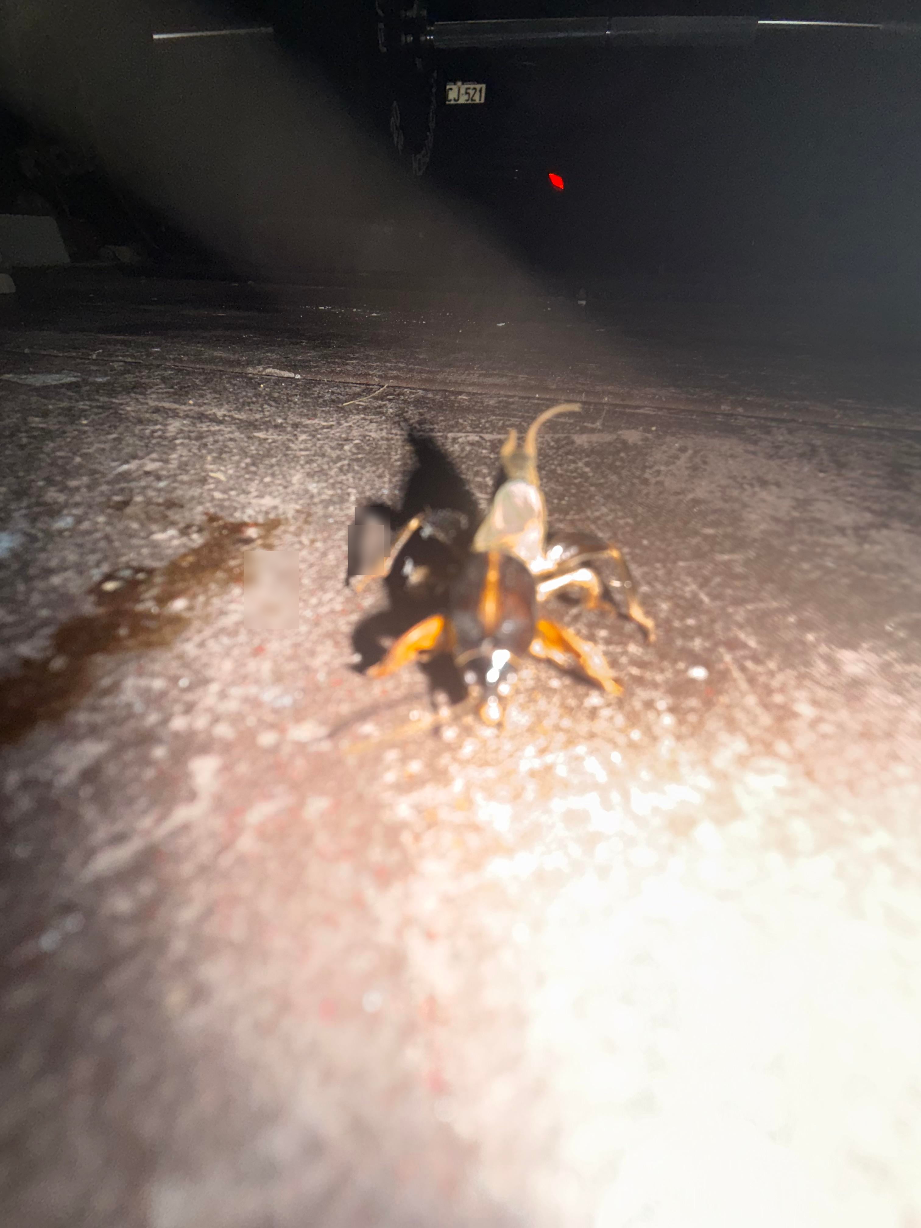 Community evidence for: What the f*ck is this