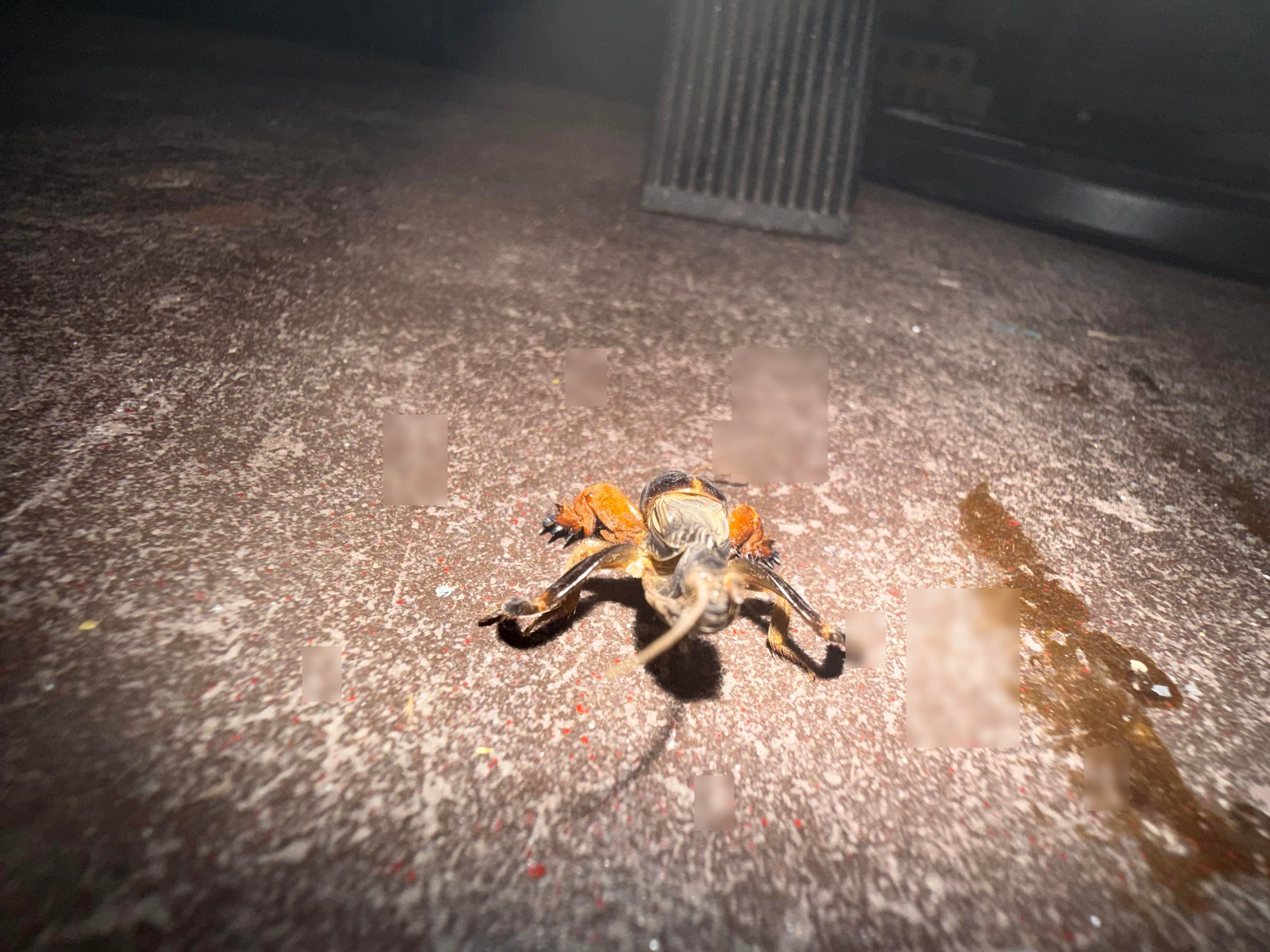 Community evidence for: What the f*ck is this