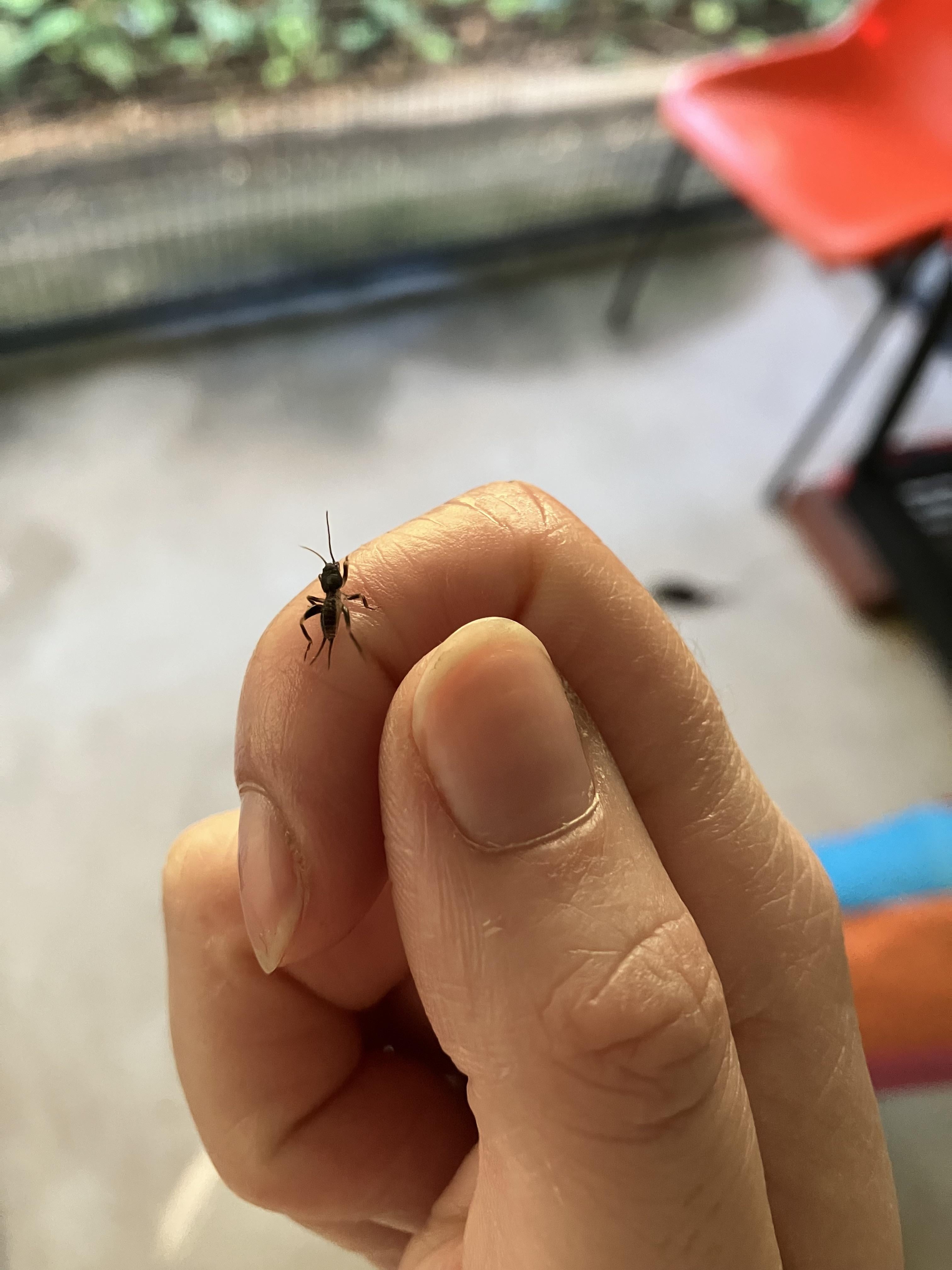 Evidence from comment by u/glitterkicker on 'What the f*ck is this'