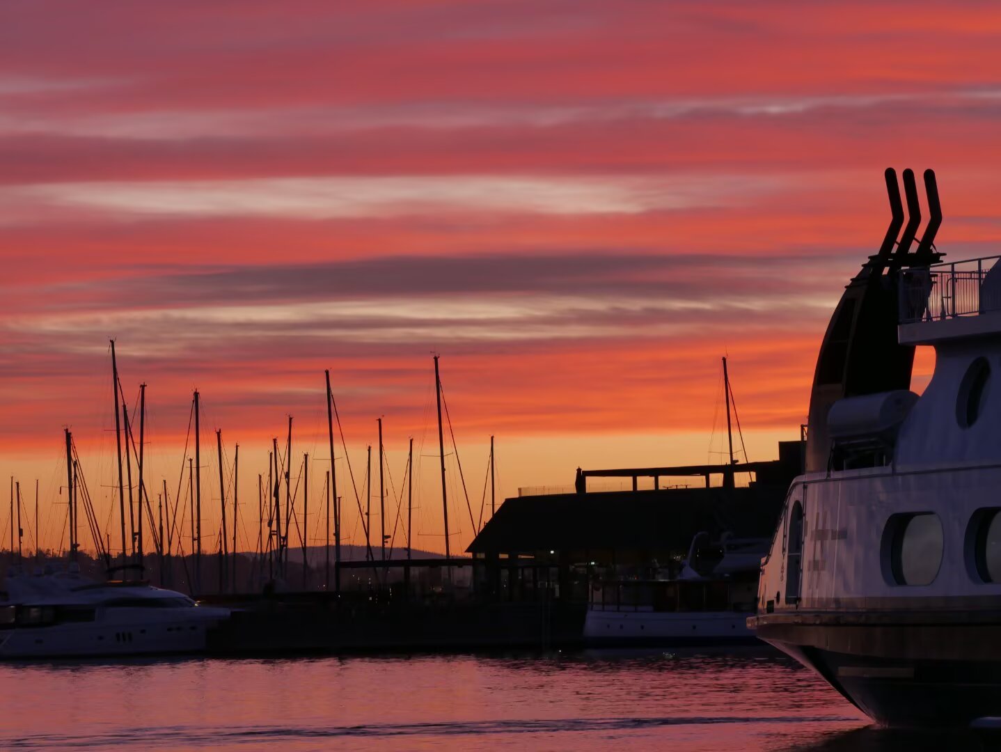 为什么活在这个世界