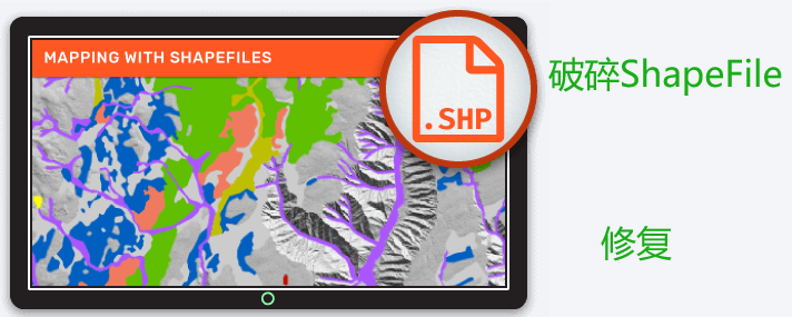 image-20240207110903501