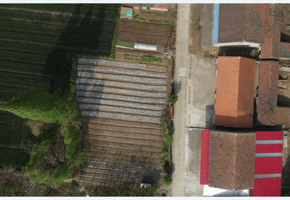 image-20240509152751237