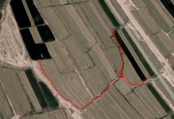 image-20240516161131697
