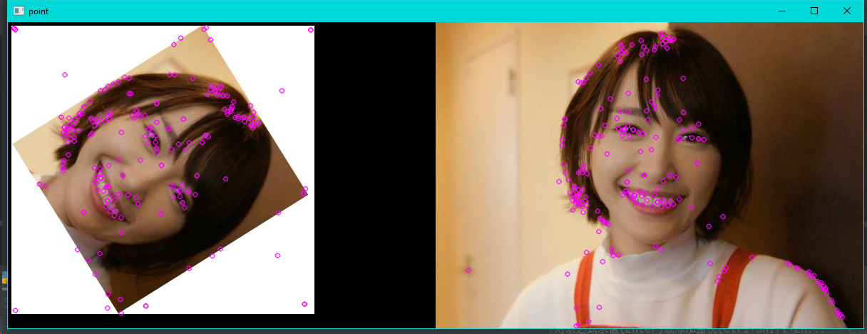 image-20240806144812507