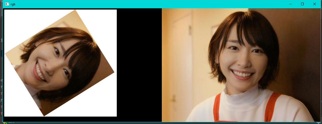 image-20240806144317483