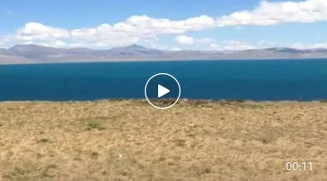 微信截图_20240918140700