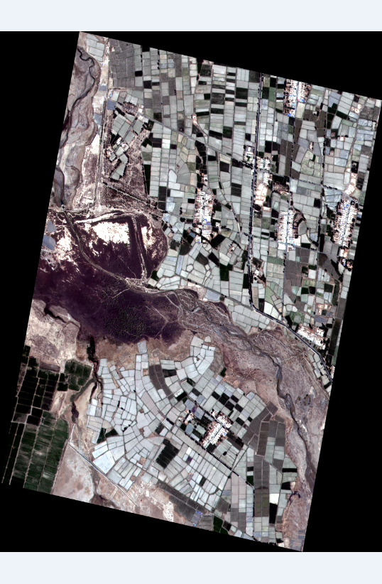 image-20250306101719172
