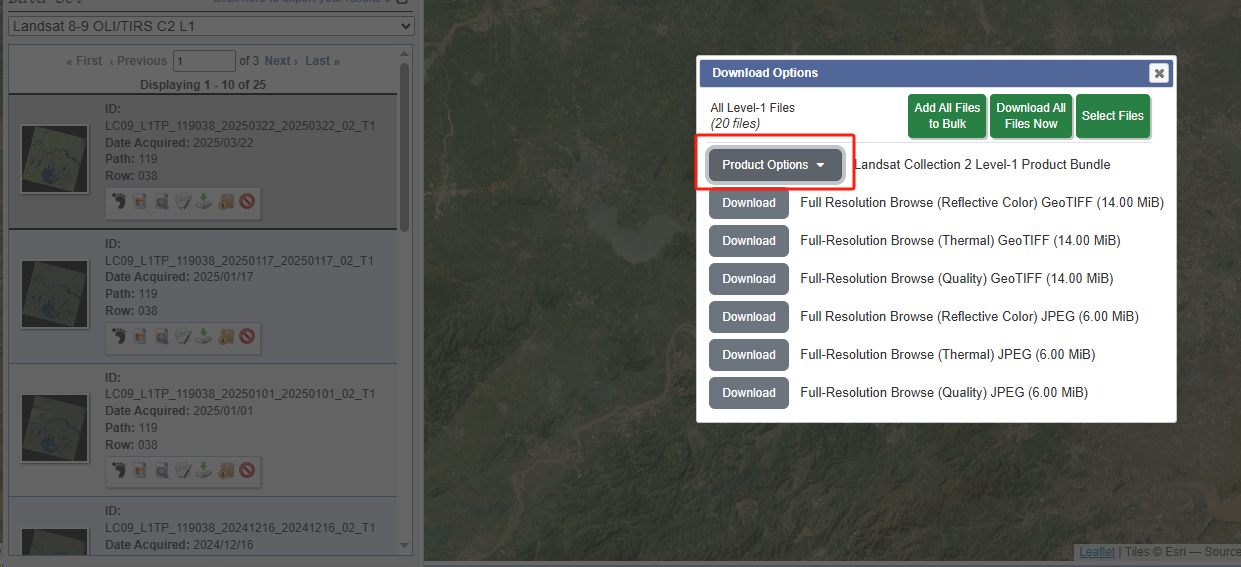 image-20250620142825311