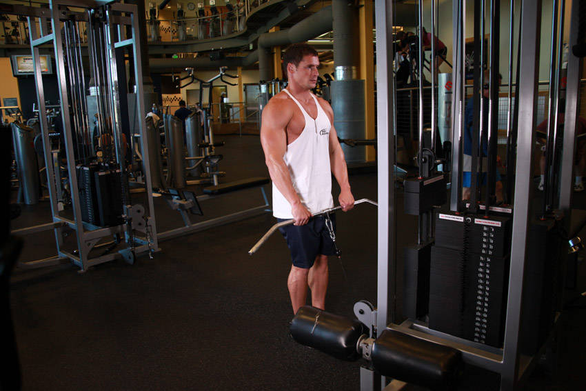 Upright Cable Row