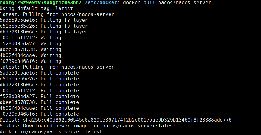 nacos-docker-setup-002.png