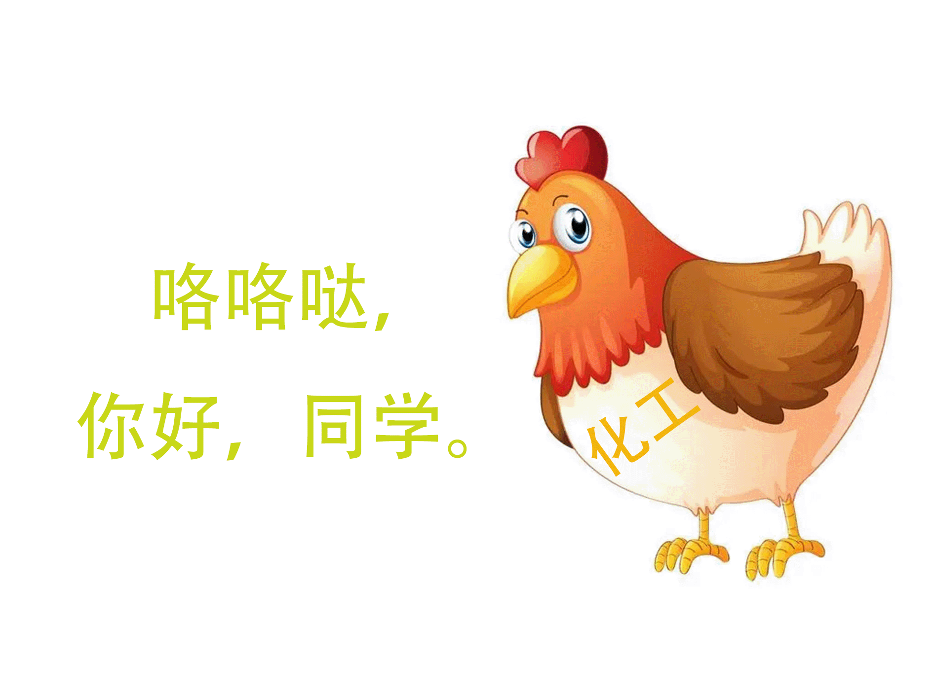 浙大化工老母鸡2.0