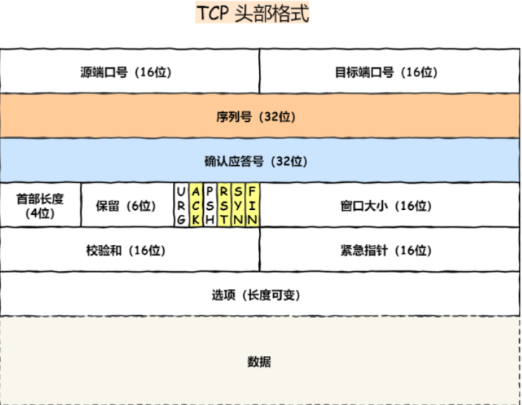 image-20230205124012612