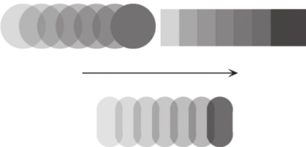 image-20230205164845737