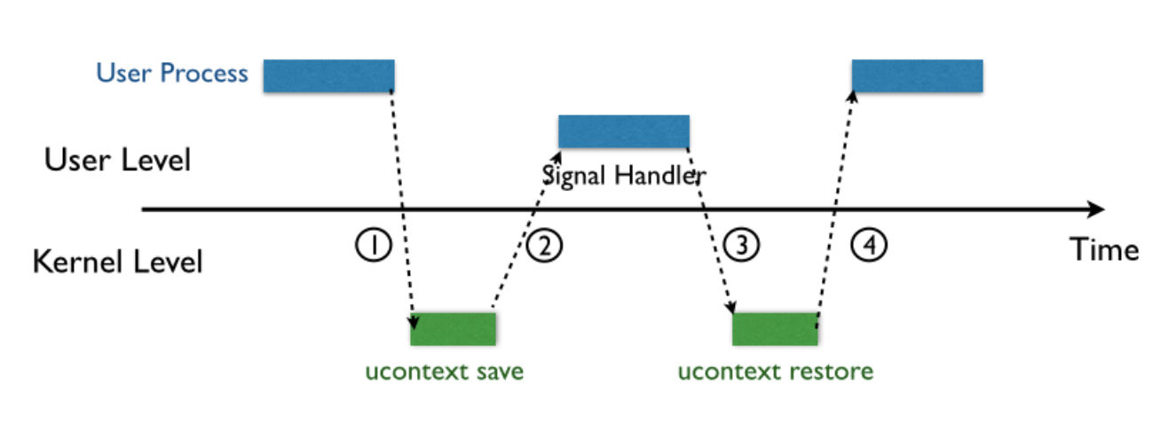 image-20250825190005837