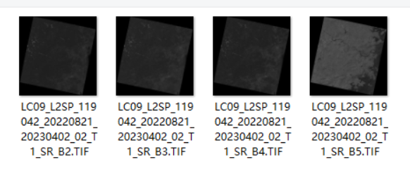 image-20240923175415606