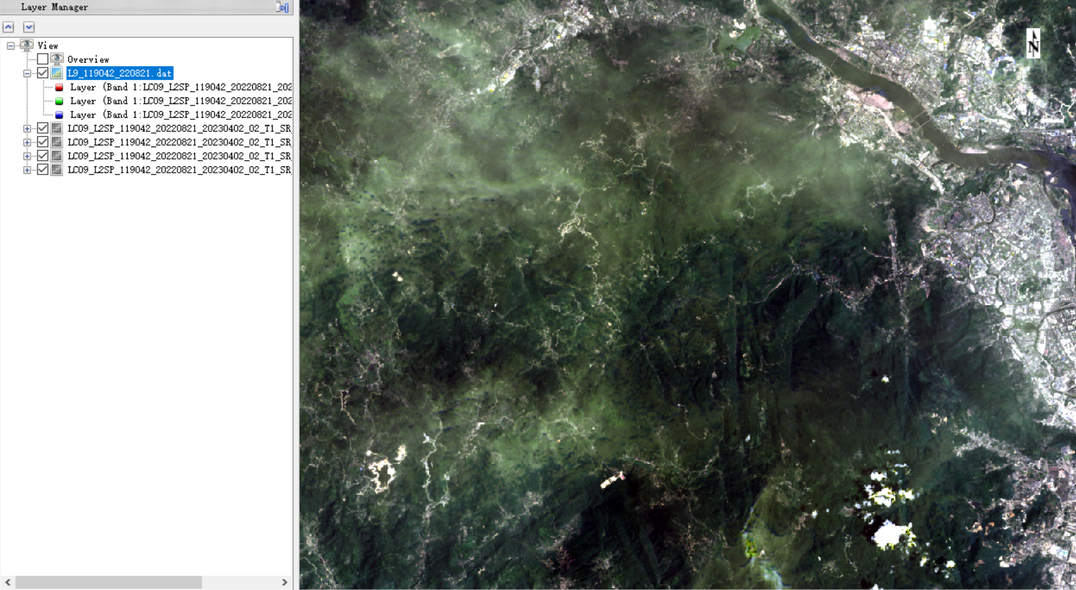 image-20250101145452269