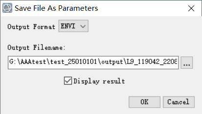 image-20250101145139884