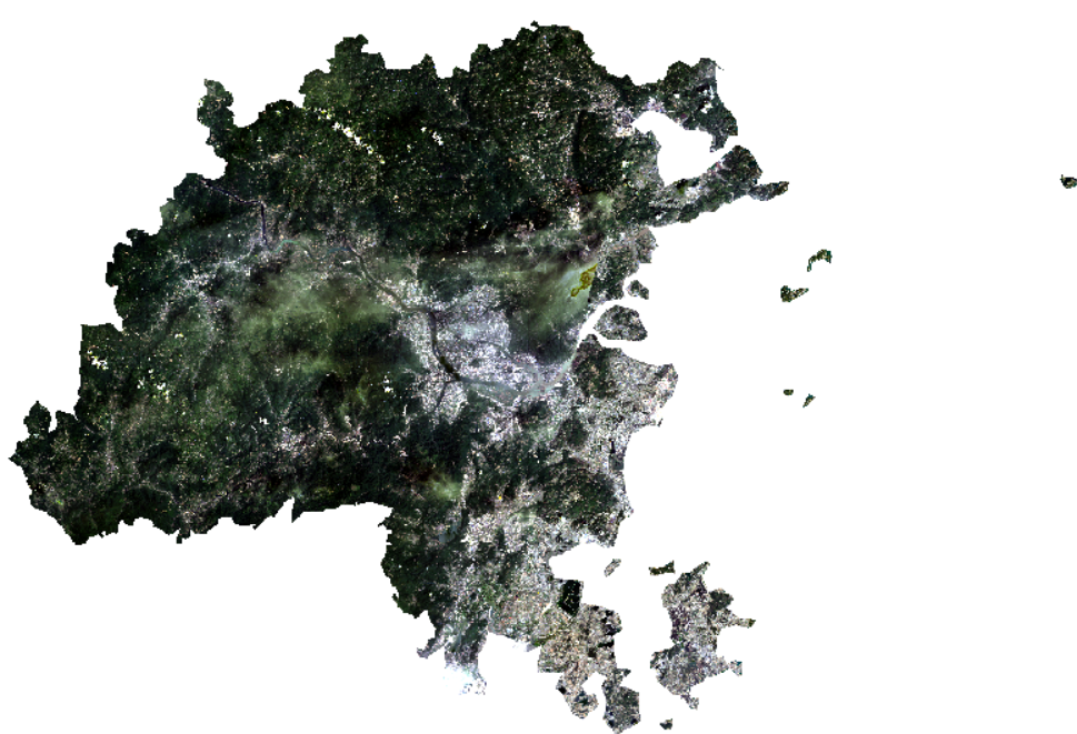 image-20250101161031879