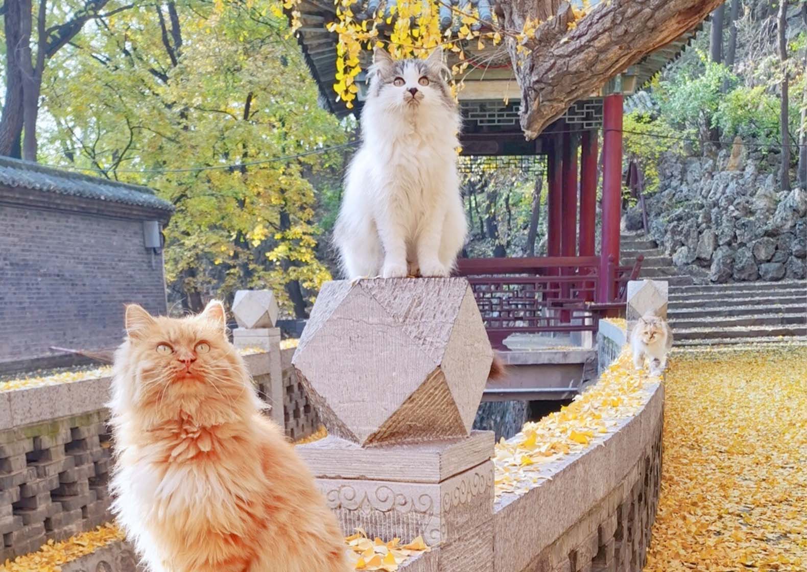 广搜变形 | 搜索