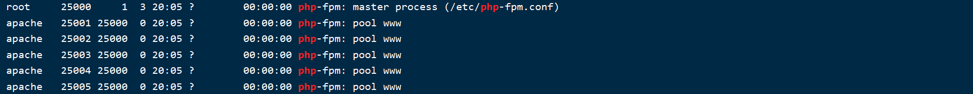 php启动检查