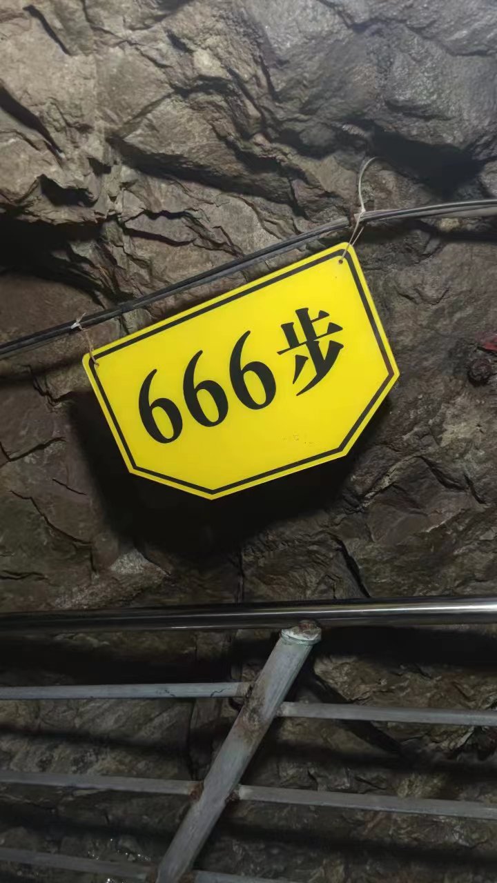 666步