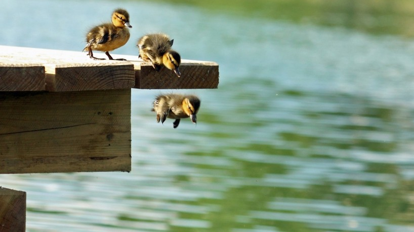 Mysql联表查询按照某个字段分组并取每组的前8条数据