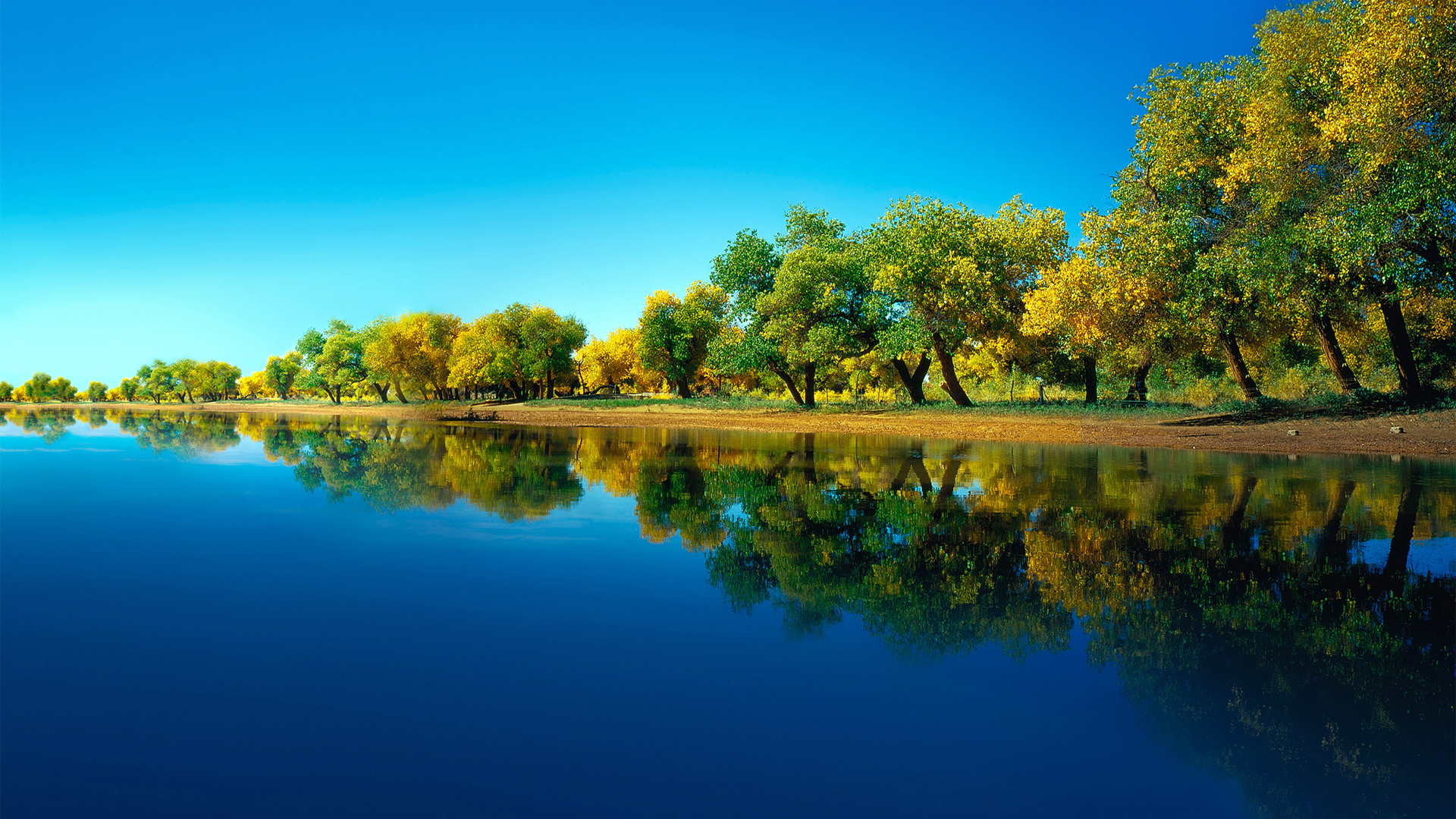 安装BBR加速脚本为服务器提速