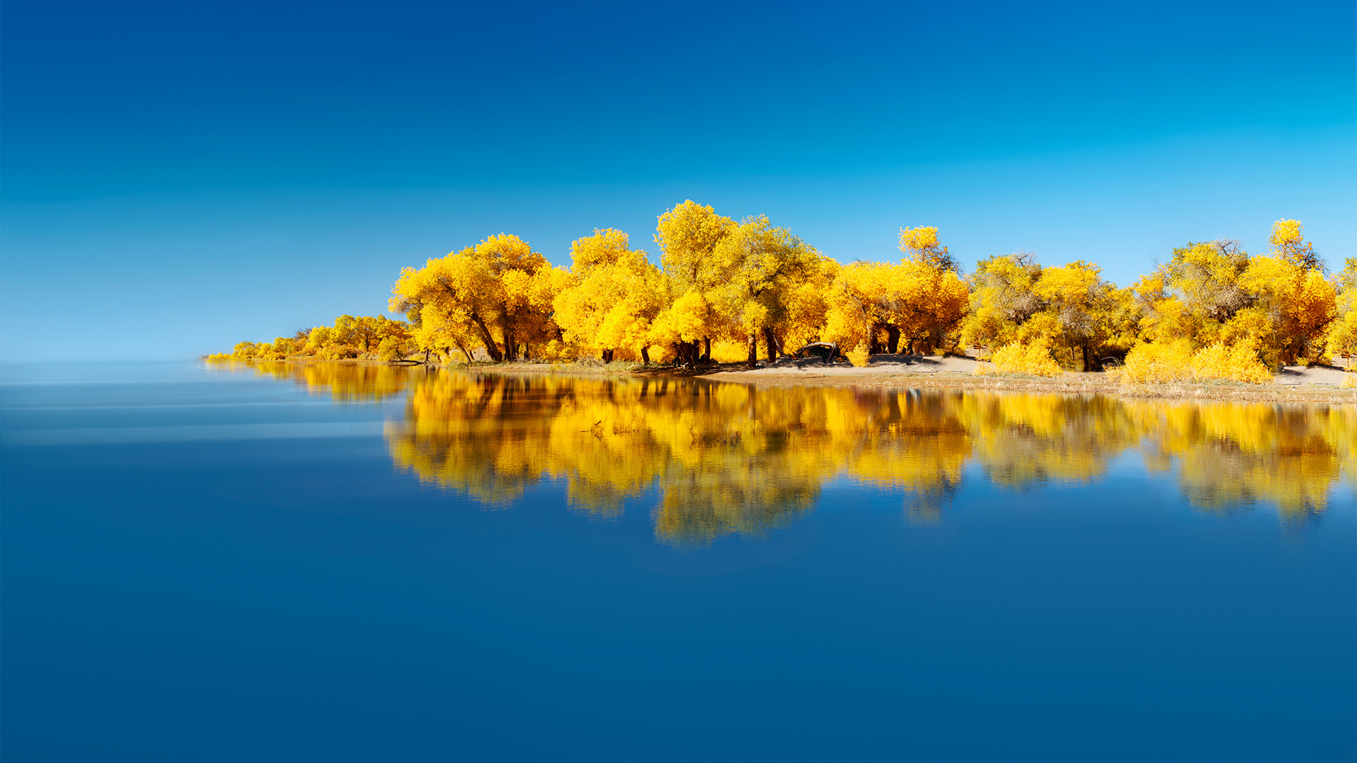 宝塔面板迁移系统盘/www到数据盘/data