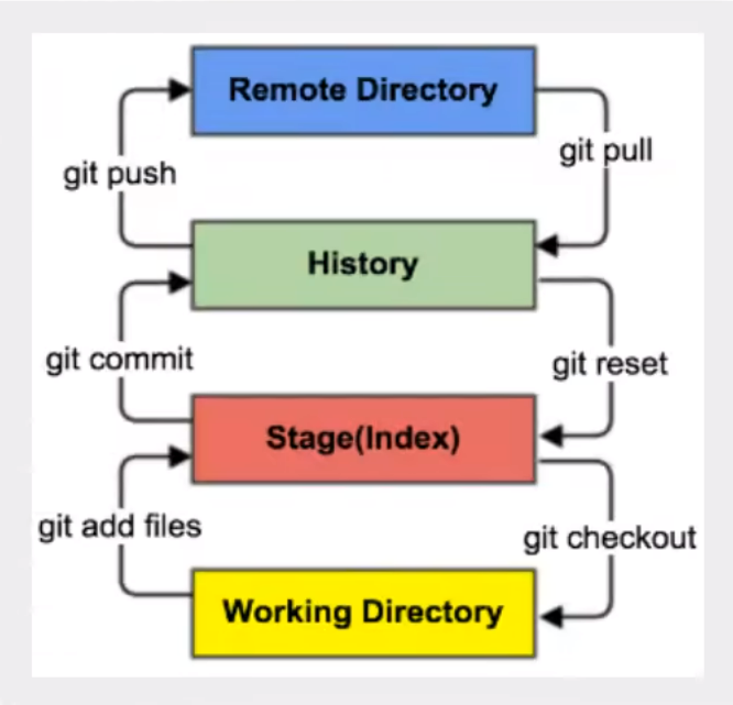 image-20230125204639545.png