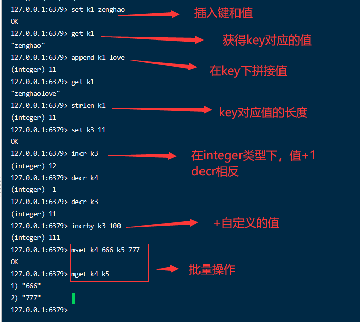 image-20220618235457537