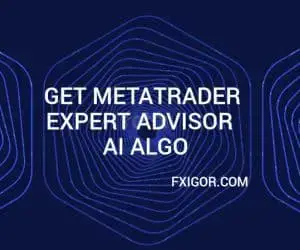 fxigor website banner