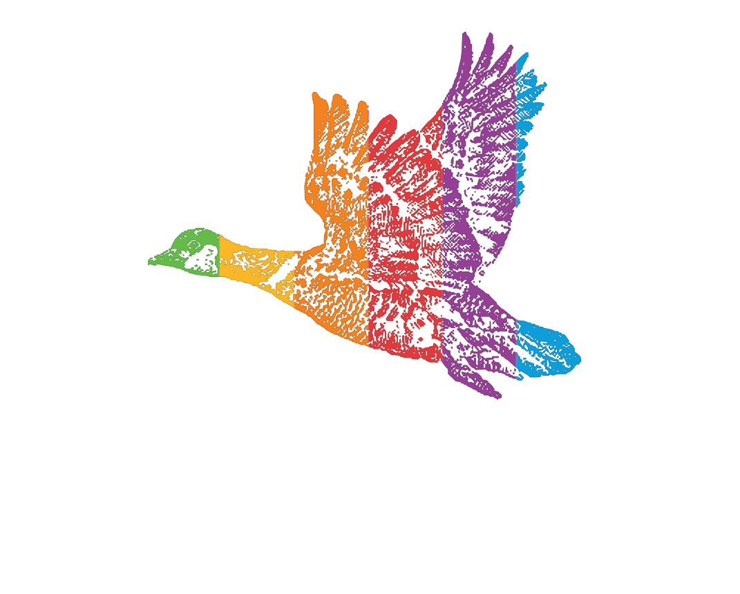 brainyduck's logo