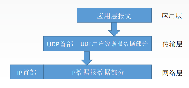 image-20230613221619827